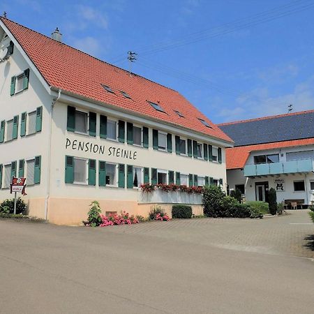 Erbach an der Danau Pension Steinle מראה חיצוני תמונה